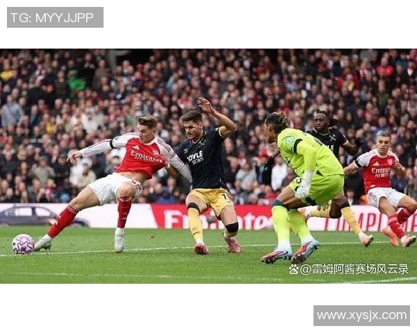 裁判承认误判致阿森纳进球无效赛后公开致歉引发热议